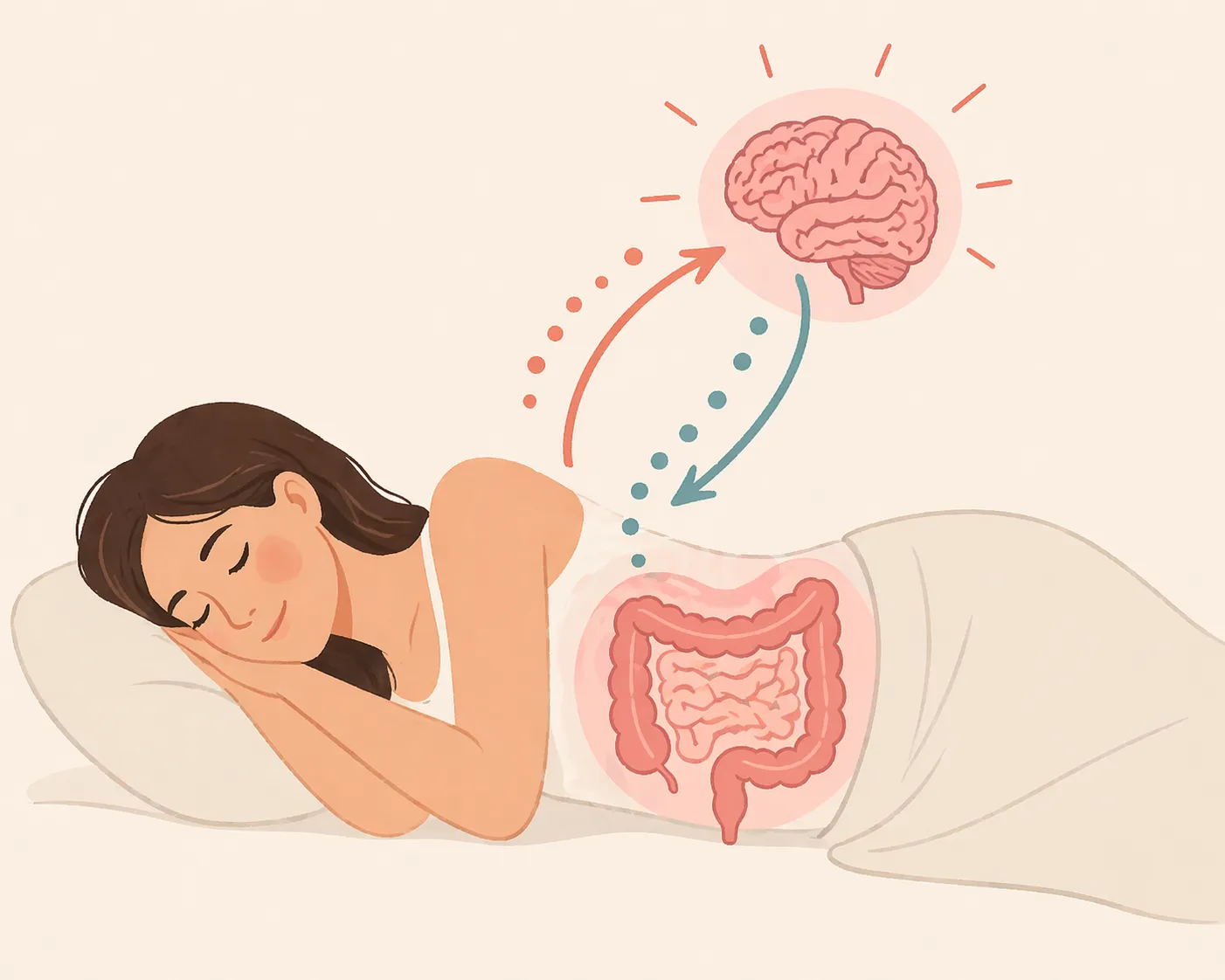 Person sleeping peacefully with gut and brain connection illustration representing physical health and mental state